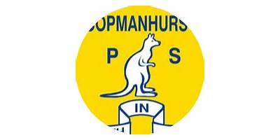 Copmanhurst Public School