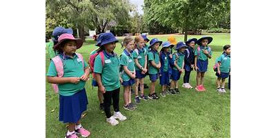 Curtin Primary School
