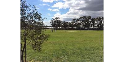 Darlington Primary School