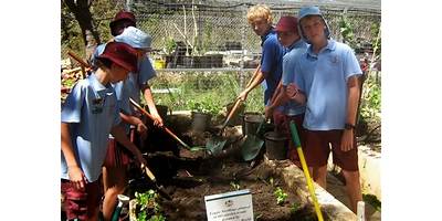 Dawson Park Primary School