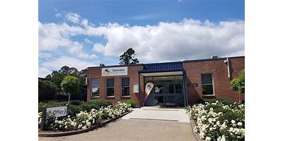 Deloraine Primary School