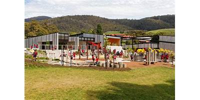 Dominic College