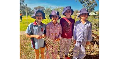 Duncraig Primary School