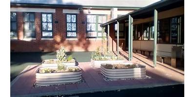 Edwardstown Primary School