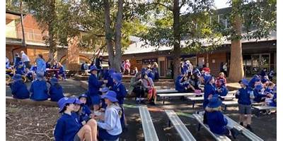 Elanora Heights Public School