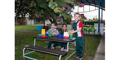 Excelsior Primary School