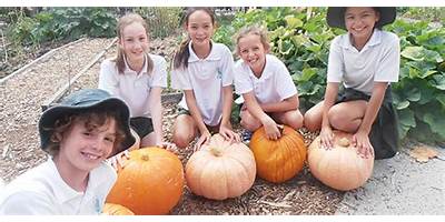 Farrer Primary School