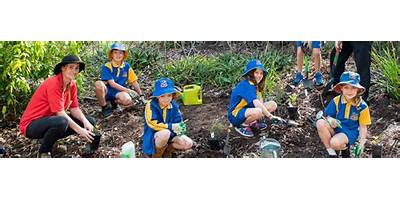 Ferny Grove State School