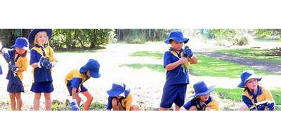 Flying Fish Point State School