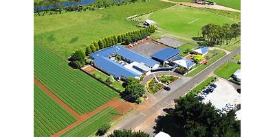 Forest Primary School