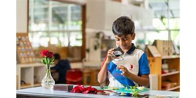 Forestville Montessori School