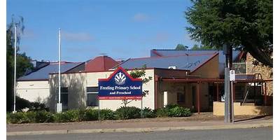 Freeling Primary School