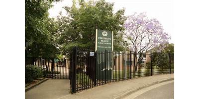 Freemans Reach Public School