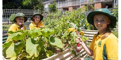 Garden Suburb Public School