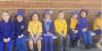 Glenbrook Public School