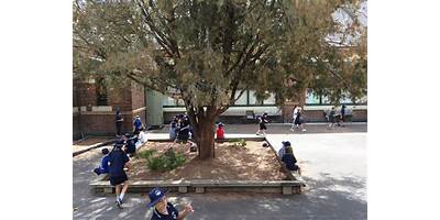 Glenferrie Primary School