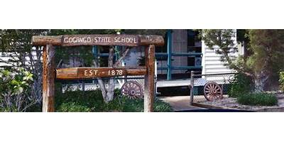 Gogango State School