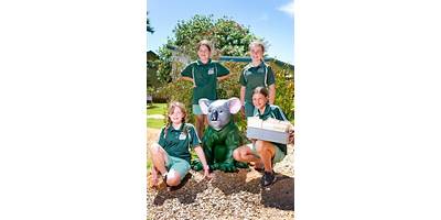 Gol Gol Public School