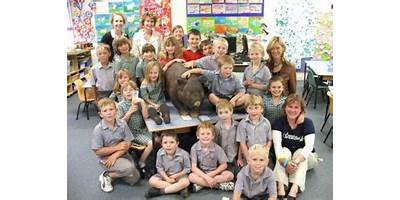 Gum Flat Public School