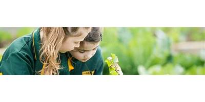 Happy Valley State School