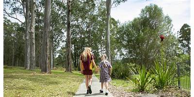 Jilliby Public School