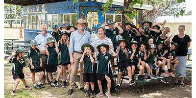 Kellys Plains Public School