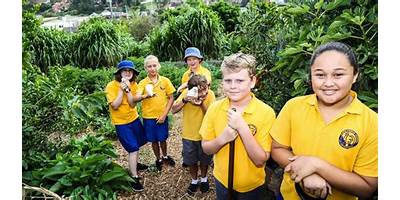 Kiama Public School