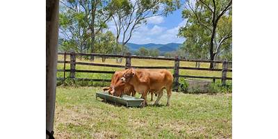 Kilkivan State School