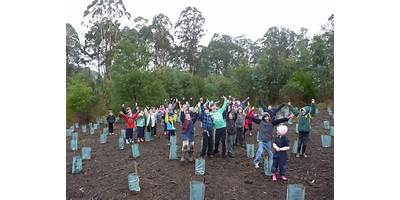 Kinglake Primary School