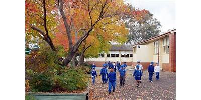 Lalor Park Public School