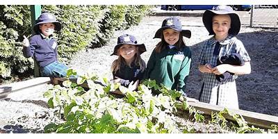 Leura Public School