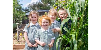 Lobethal Primary School