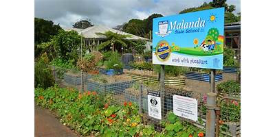 Malanda State School