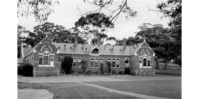 Maldon Primary School