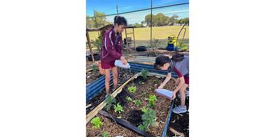 Mandurah Primary School