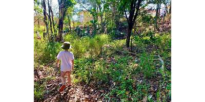 Marshall Road State School