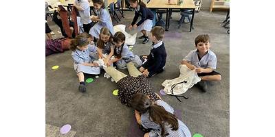 Mary Queen of Heaven Catholic Primary School
