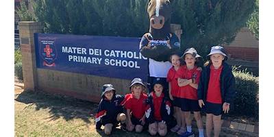 Mater Dei Primary School