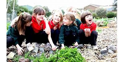 McDonald Park School