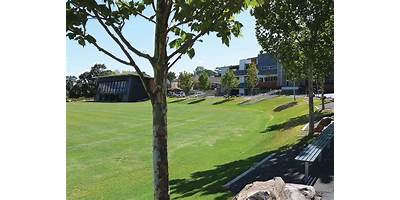 Mercedes College