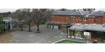 Merri Creek Primary School