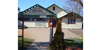 Milawa Primary School