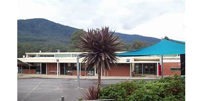 Millwarra Primary School-Warburton East Campus