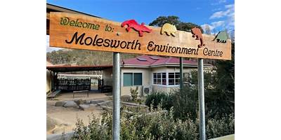 Molesworth Primary School