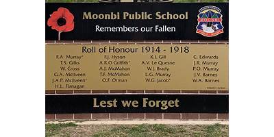 Moonbi Public School