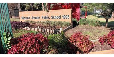 Mount Annan Public School