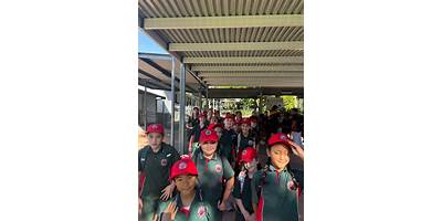 Mount Colah Public School