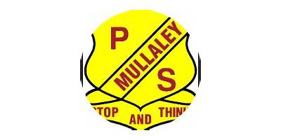 Mullaley Public School