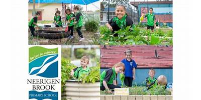 Neerigen Brook Primary School