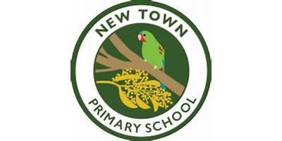 New Town Primary School